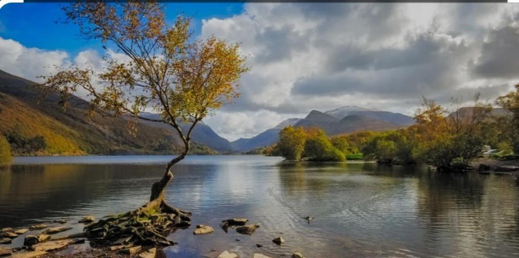 Pen Y Buarth Pod - Caravan Site カーナーヴォン エクステリア 写真